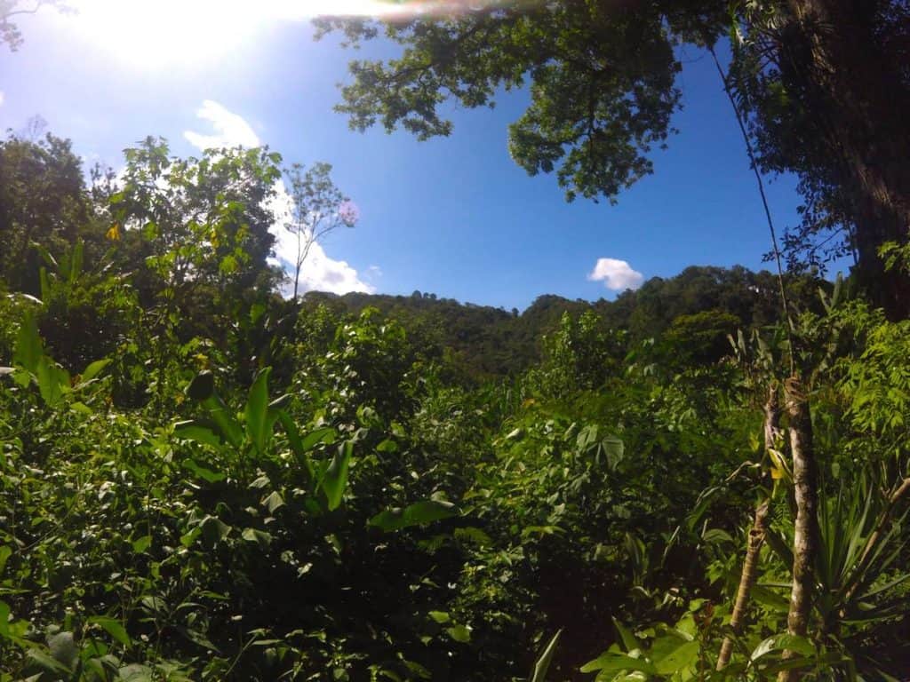 Aussicht im Biopark Paradise am Lago de Yojoa im Dschungel von Honduras