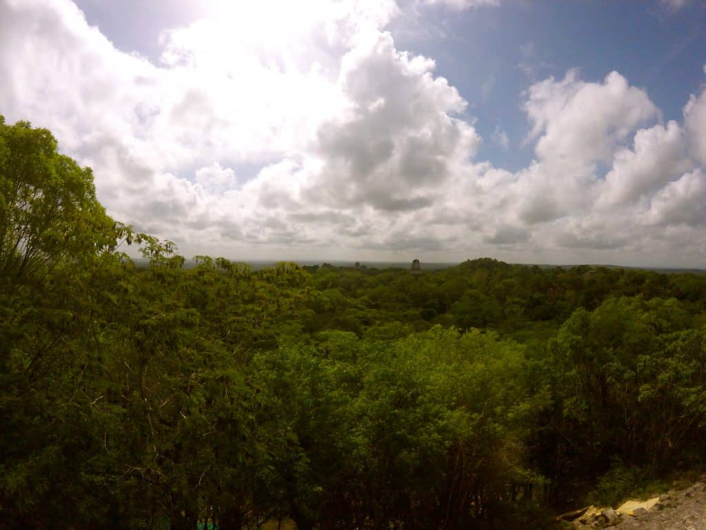Blick auf Tikal und den Dschungel in Guatemala