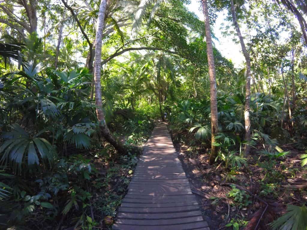 Weg zum Wandern durch den Dschungel im Nationalpark Tayrona in Kolumbien
