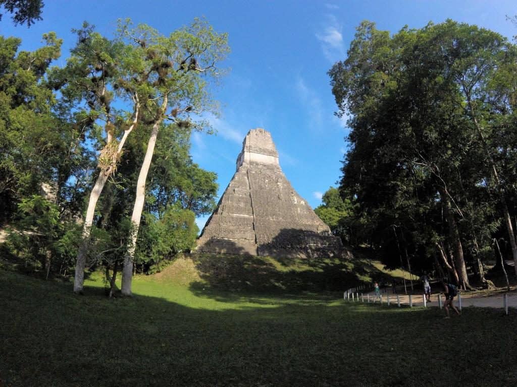 Eine besondes hohe Pyramide in Tikal bei unserem Reisebericht über Flores in Guatemala
