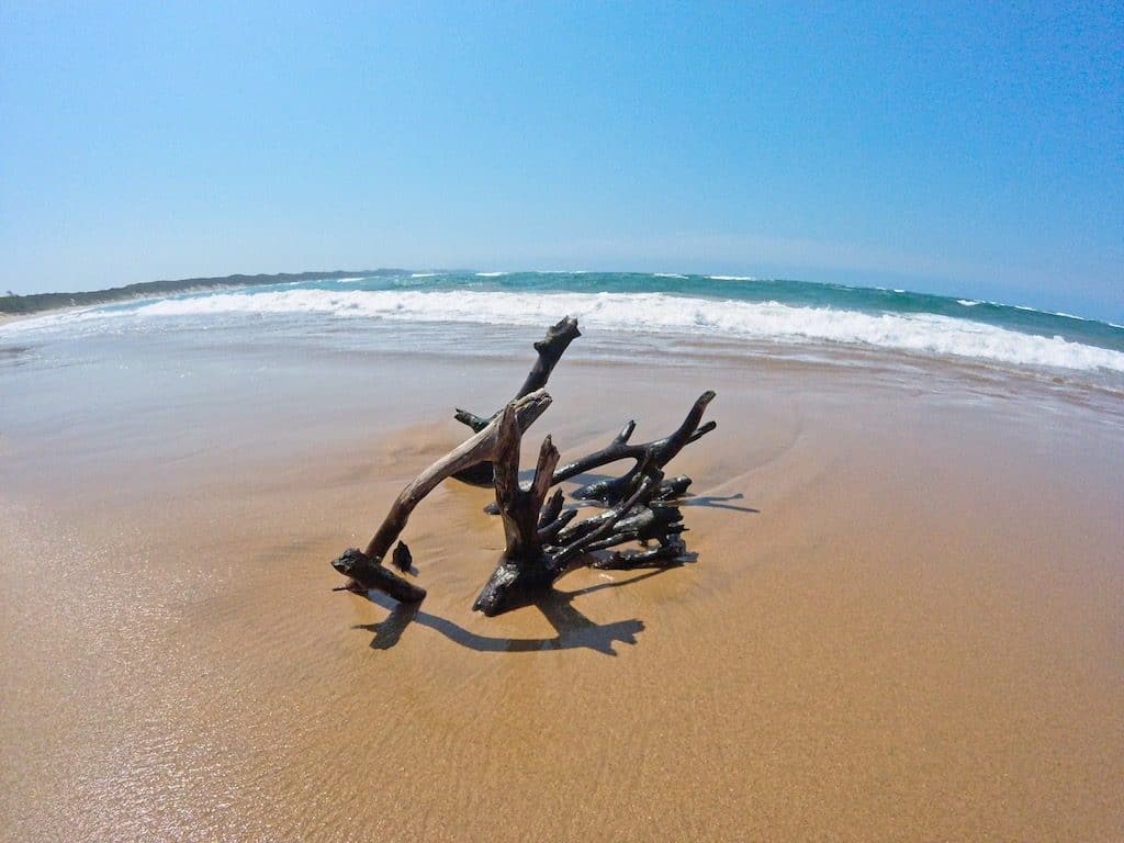 Ein Ast liegt im Wasser am Strand von Sodwana Bay