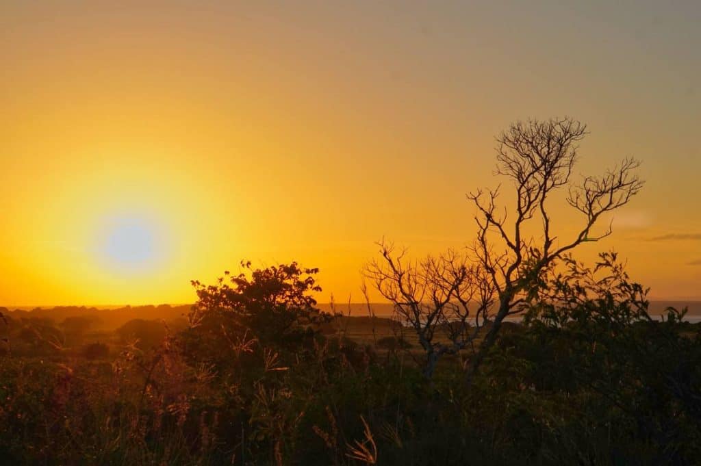 Sonnenuntergang im Busch iSimangaliso Wetland Park Sundowner beim Game DRive