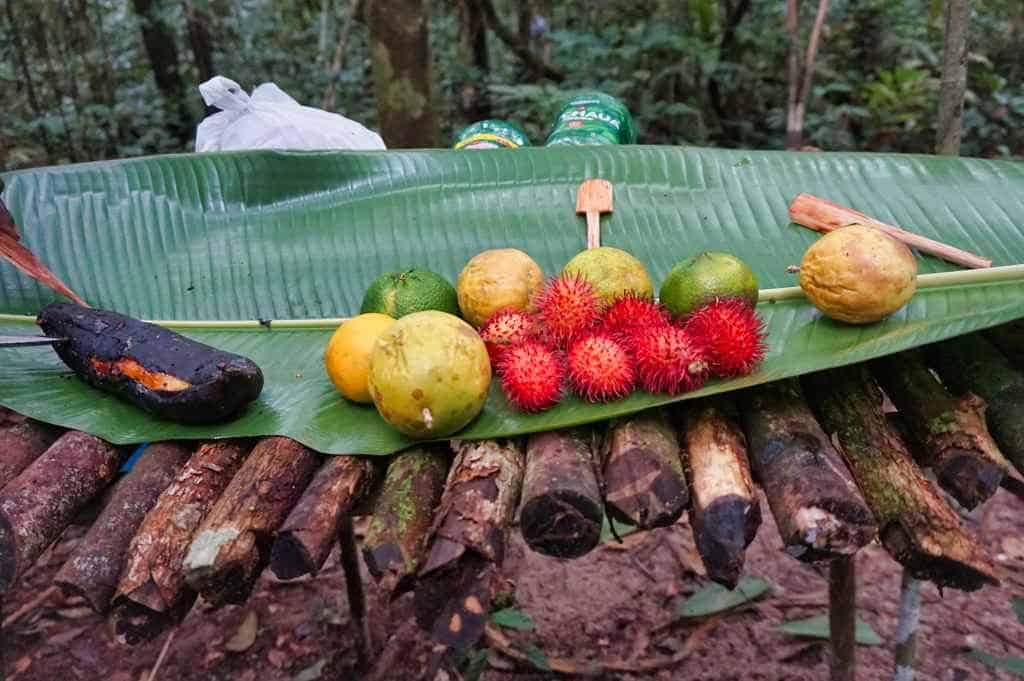 Früchte im Amazonas von Brasilien