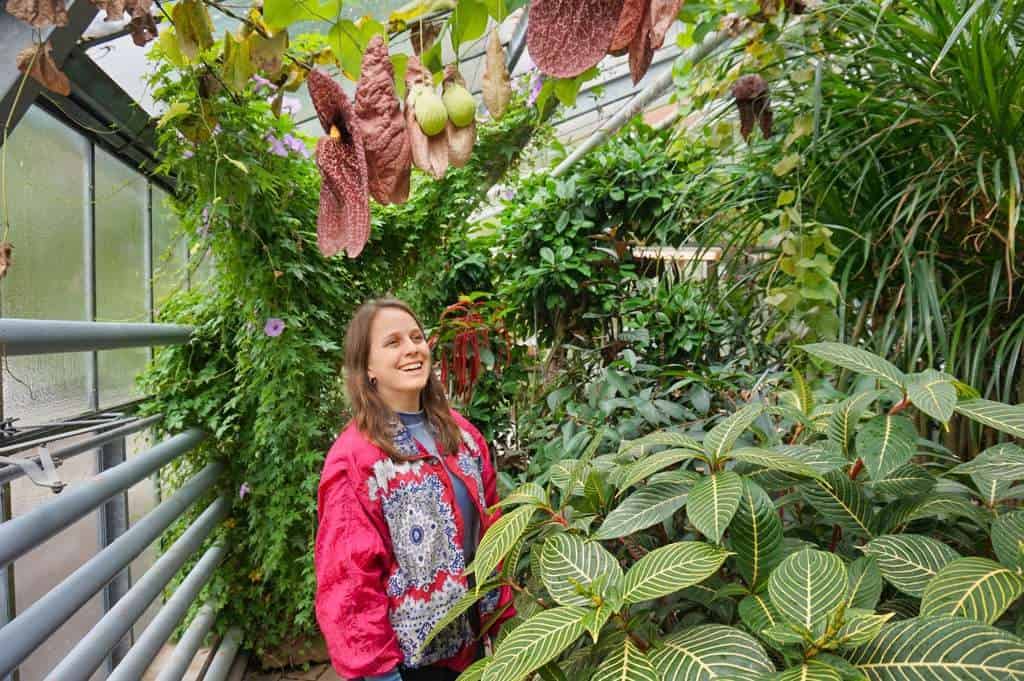 Marie lacht im Botanischen Garten von Münster