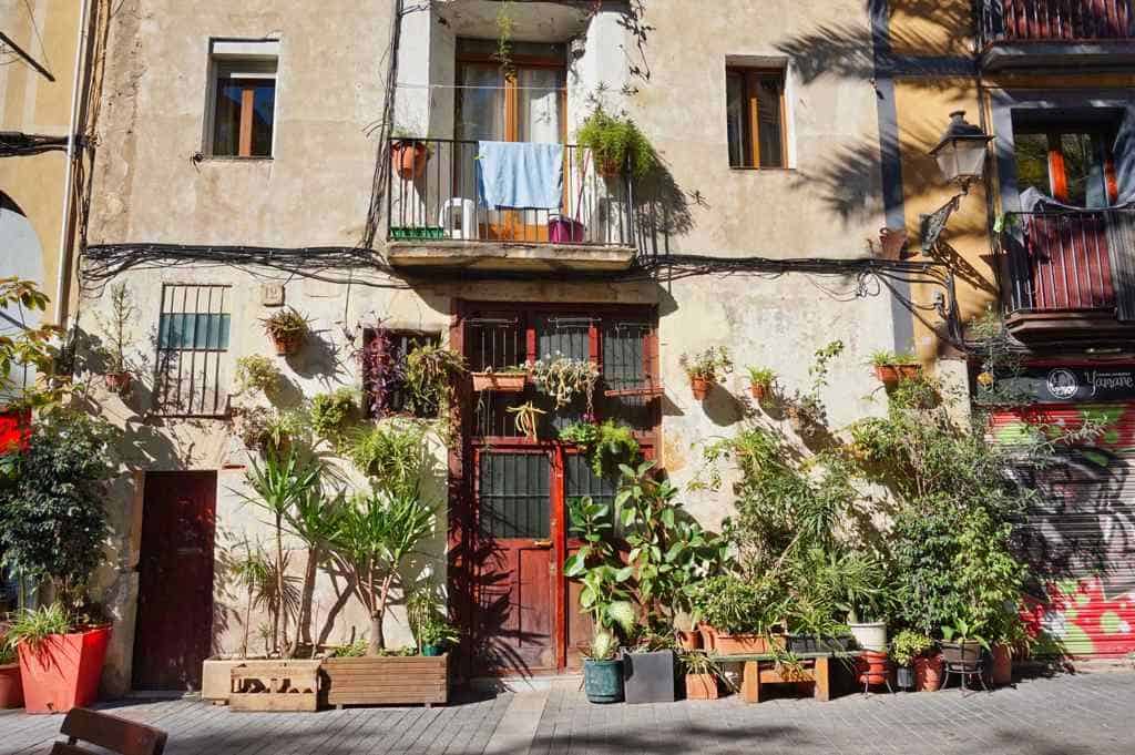 Instagram Spot in Barcelona ist das Pflanzenhaus im Viertel El Born.