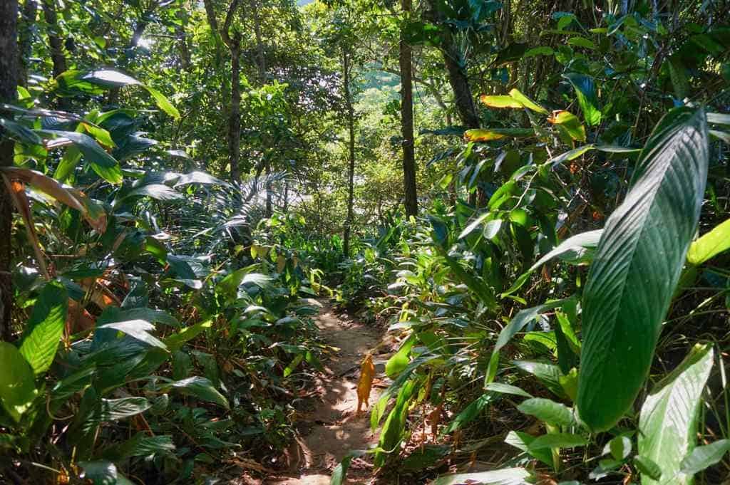 Wanderungen und Trails auf der Ilha Grande in Brasilien