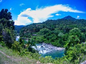 Dschungel und Fluss in Baracoa auf Kuba
