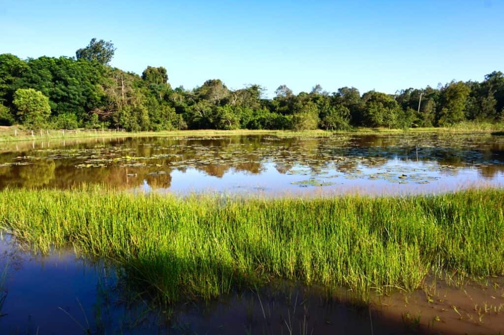 Karuna Forest ist Natur mitten in Nairobi und eine tolle Sehenswürdigkeit.