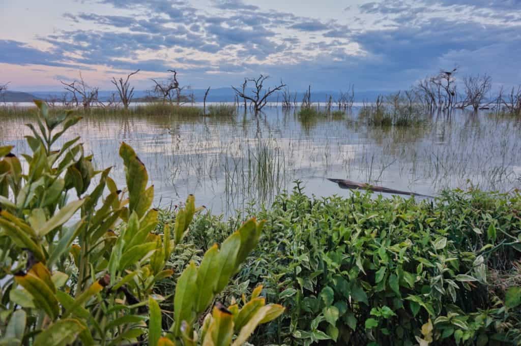 Ausblick auf den Baringosee in Kenia