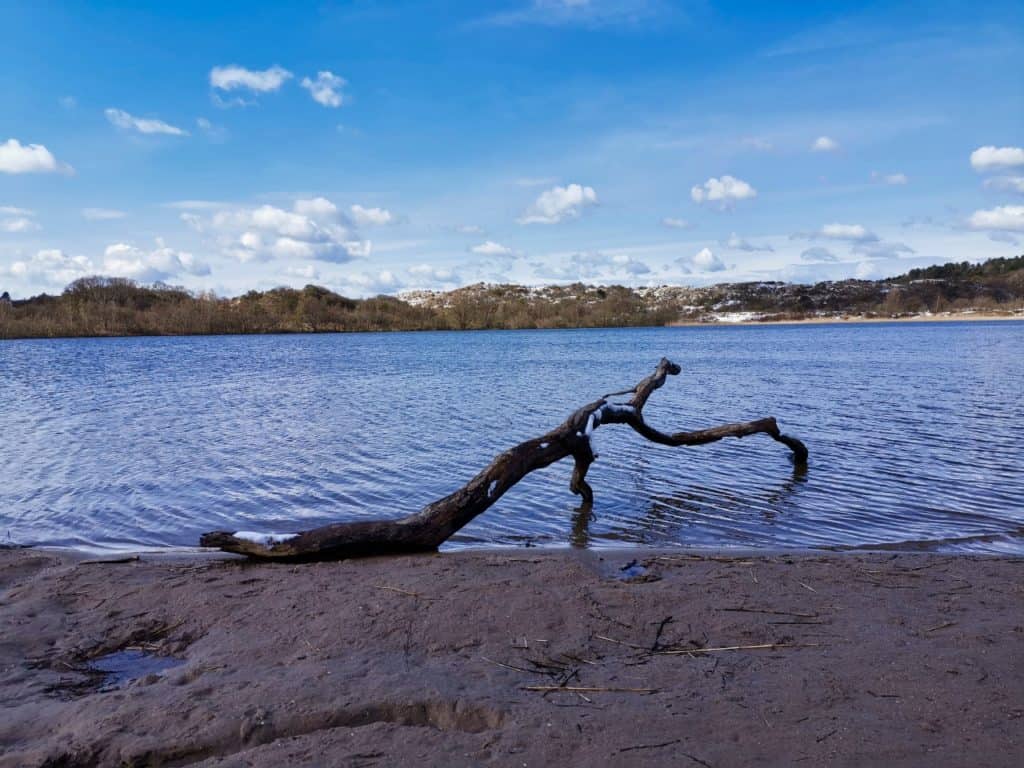 Badesee t'Wed im Nationalpark Zuid Kennemerland ist perfekt für Kinder.