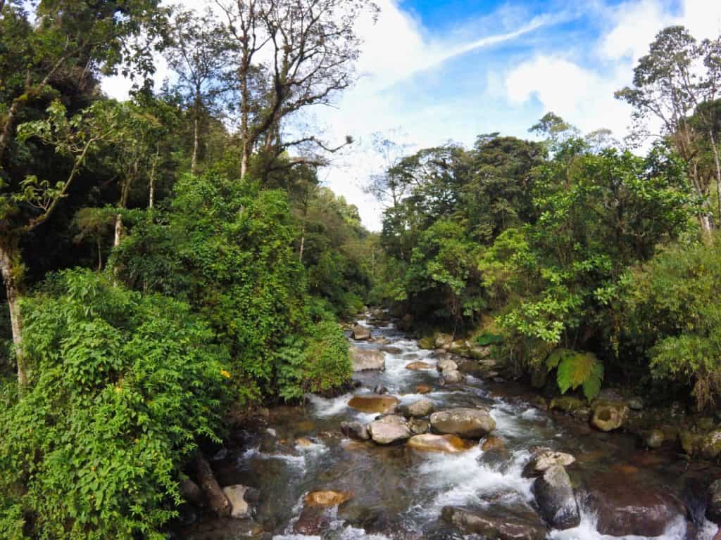 Ein Fluss im Wald in Boquete Panama
