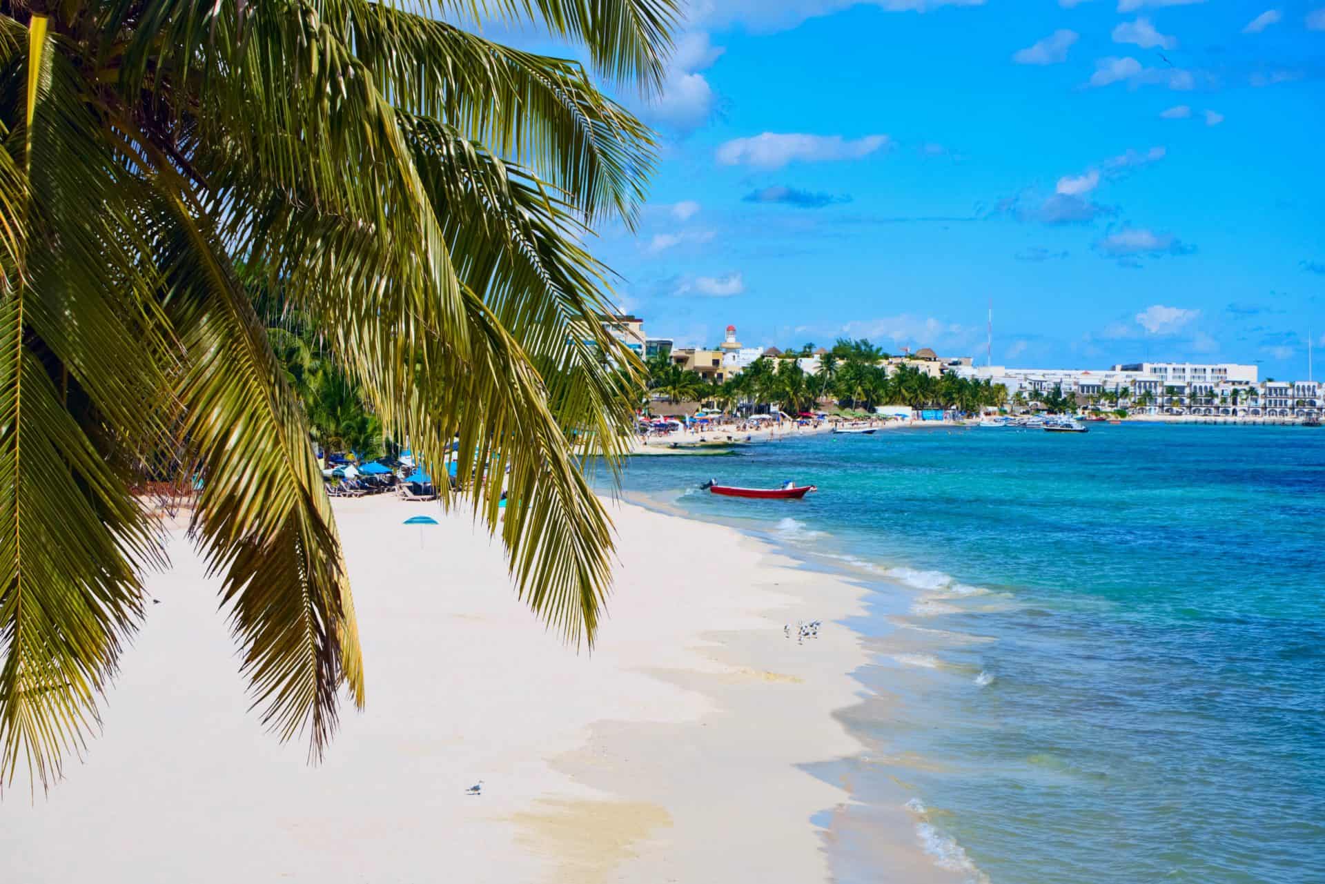 Die 20 schönsten Cenoten in Mexiko Tipps für die Maya Höhlen