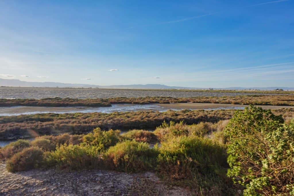 Laguna de la Tancada im Ebro Delta in Katalonien, Spanien.