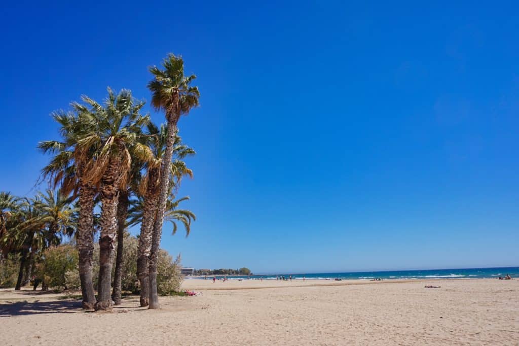 Plata del Regueral Strand von Cambrils mit Palmen.
