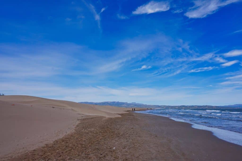 Strand Platja del Fangar.