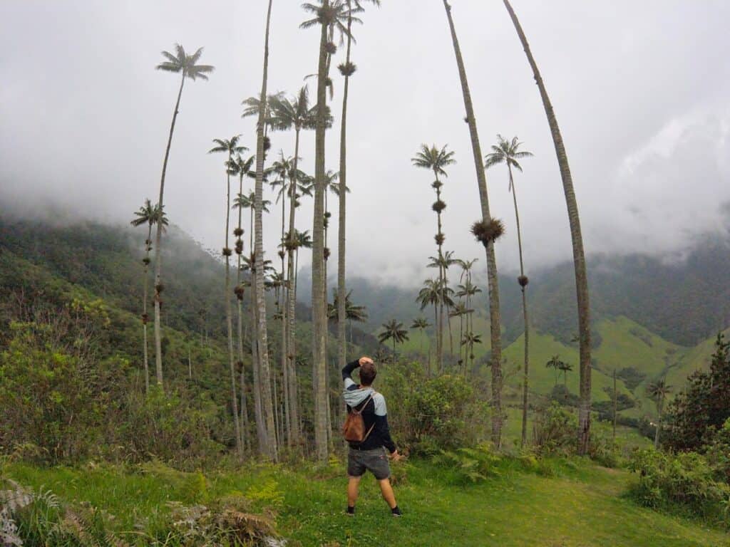 Chris steht im Valle de Cocora vor riesigen Wachspalmen und denkt über unsere Kolumbien Reiseberichte nach