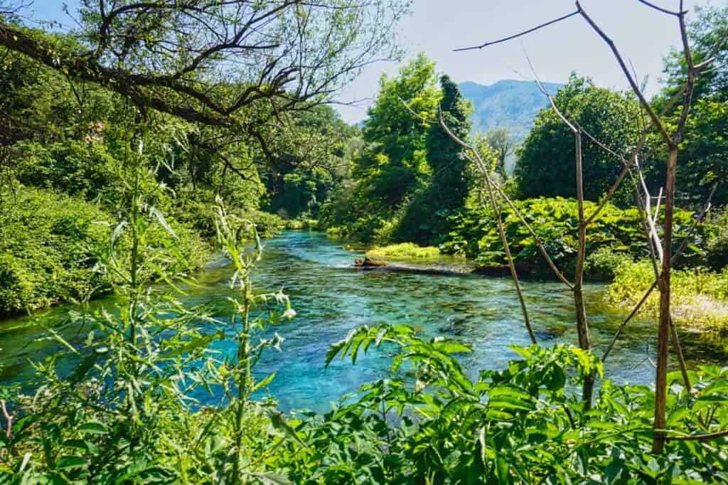 Das Blue Eye in Albanien schimmert in den schönsten Blautönen und ist umgeben von sattgrüner Natur