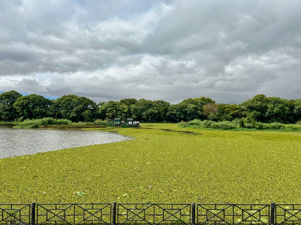 Reserva Ecologica de Buenos Aires ist ein Naturpark im Viertel Puerto Madero.