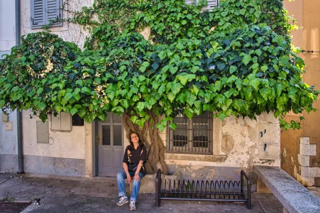 Marie unter einem schönen Baum in der Altstadt von Vrsar.