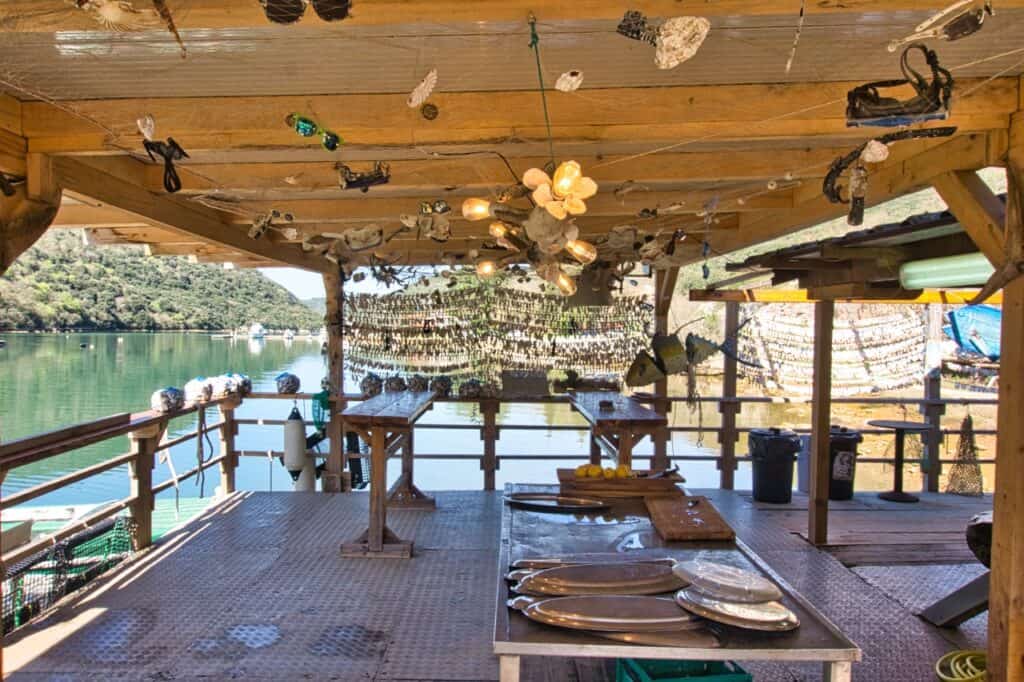 Frische Muscheln gibt es bei Tony's Oyster Shack im Limski Kanal in der Nähe von Vrsar.