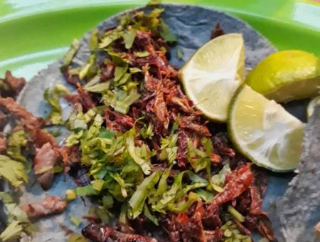 Tacos mit Heuschrecken (Chapulines) in Mexiko